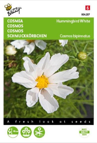 Garden cosmos Hummingbird White (Cosmos) 75 seeds